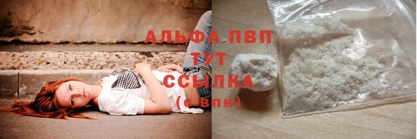 ECSTASY Елизово