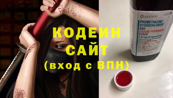 ECSTASY Елизово