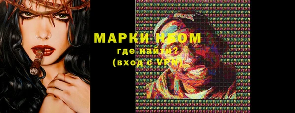ECSTASY Елизово