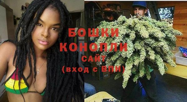 ECSTASY Елизово