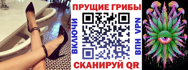 закладки  Чердынь  Псилоцибиновые грибы ЛСД 